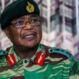 zim.gen