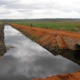 RESILIENCE-Limpopo-Basin-Investment-Framework
