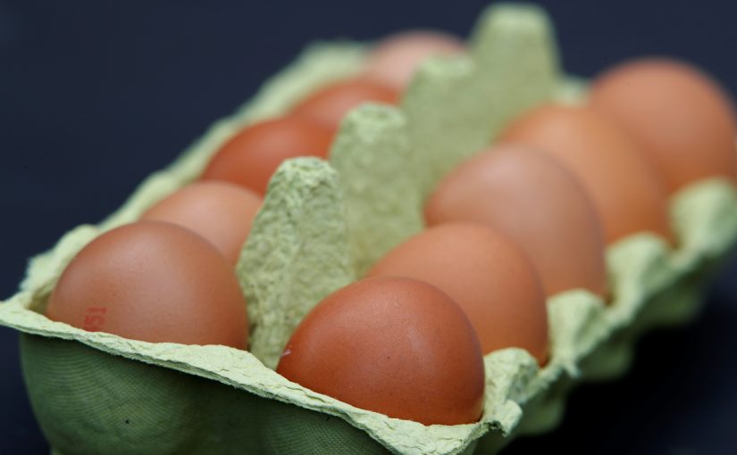 eggs.sa