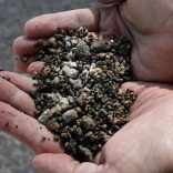 phosphate