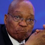 zuma,file,r