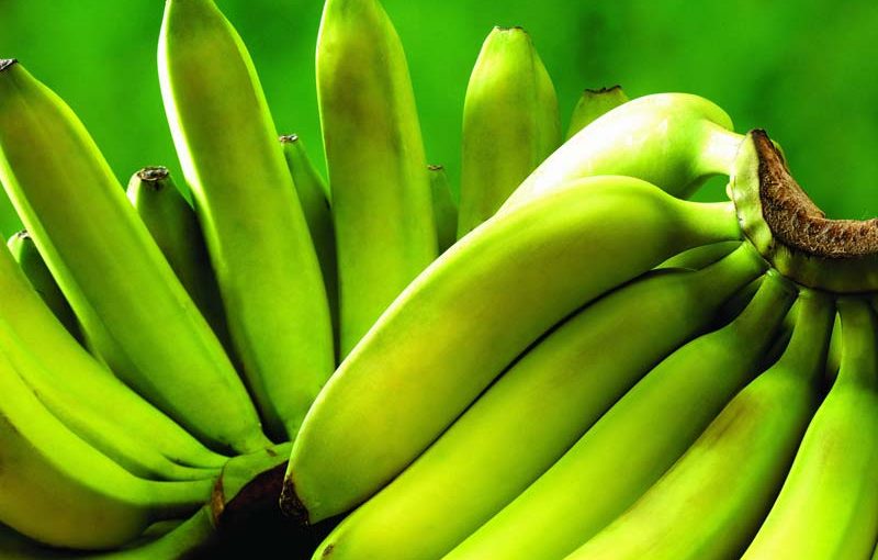 MHoje_bananas_photo_jpg