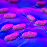 cholera5
