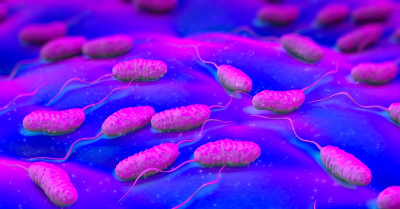 cholera5