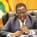 emmersonmnangagwa.thechronicle