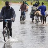 floods.file.rm