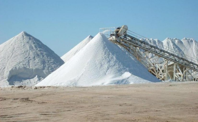 salt.file