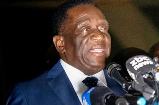 zim1