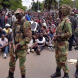 zimsoldiers.news24