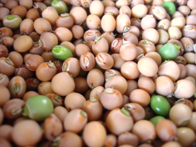 close-up-of-shelled-pigeon-peas