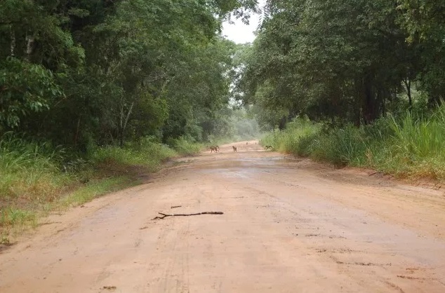 cuamba.muita.road.mi