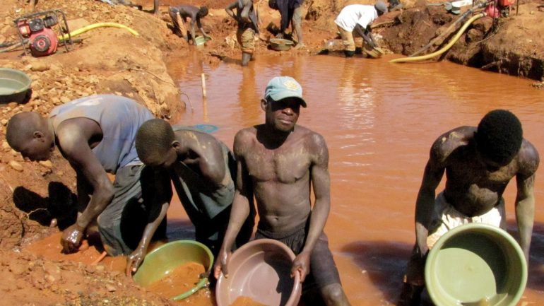 illegalminers.lusa