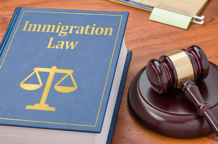 38365715 - a law book with a gavel - immigration law