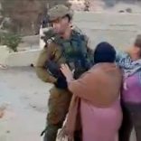 palestinianteen