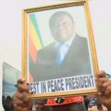 tsvangirai.afn