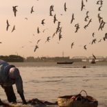 africa-why-unescos-nature-based-solutions-to-water-problems-wont-work-in-africa