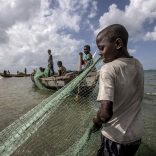 blueeconomy.wwf