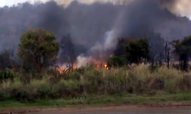 bushfires.op
