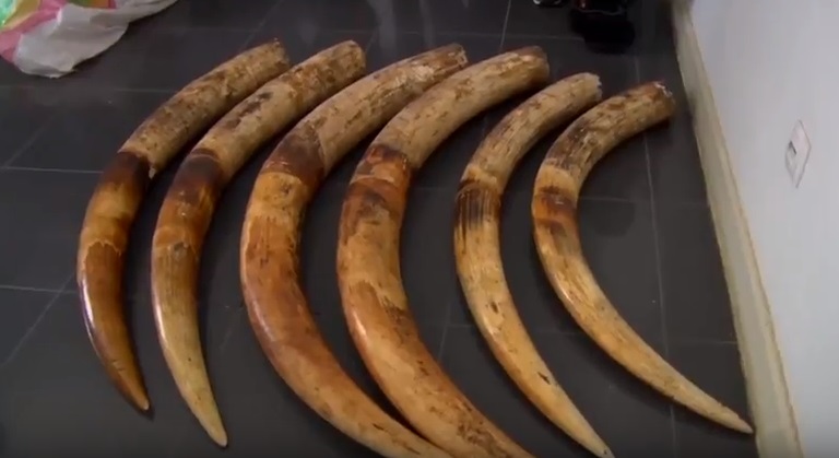 ivorytipsbeira