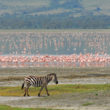 lakemanyara
