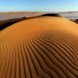 land.decay.desert