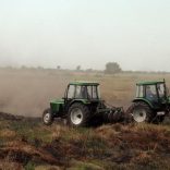 land.rice.mopeia.dw