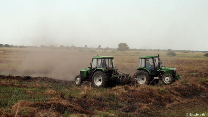 land.rice.mopeia.dw