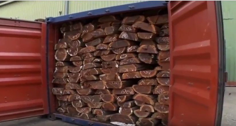 logs,miramar