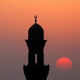 mosqueafn