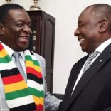 sazimthezimbabwean