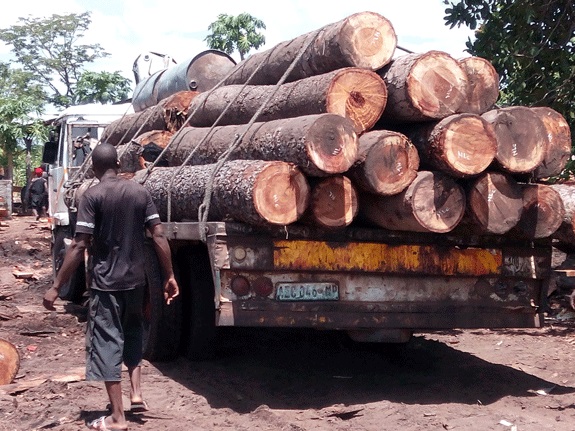 timber.logging.not