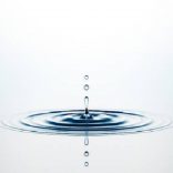 water,stock.1