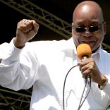 _100995107_zumasugar