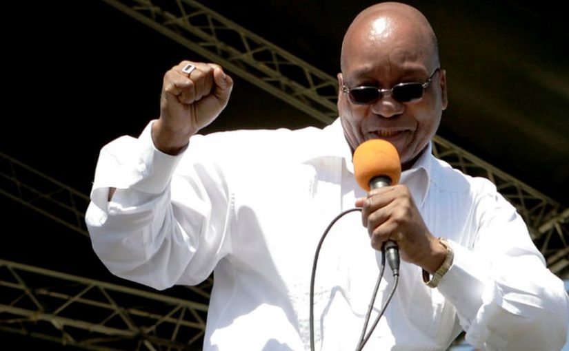 _100995107_zumasugar