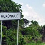 Mhoje_muxungue7pic_photo_jpg