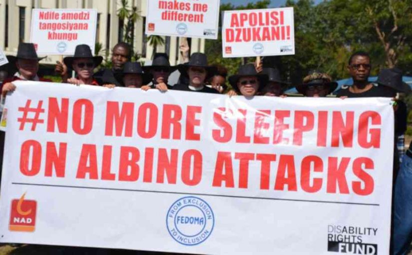 albinioss7