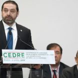cedre