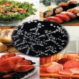 listeria.rm