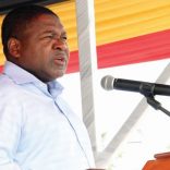 nyusi.file.op