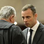 pistorius,appeal