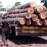 timber.logging.not