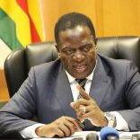 Emmerson-Mnangagwa-ngwena