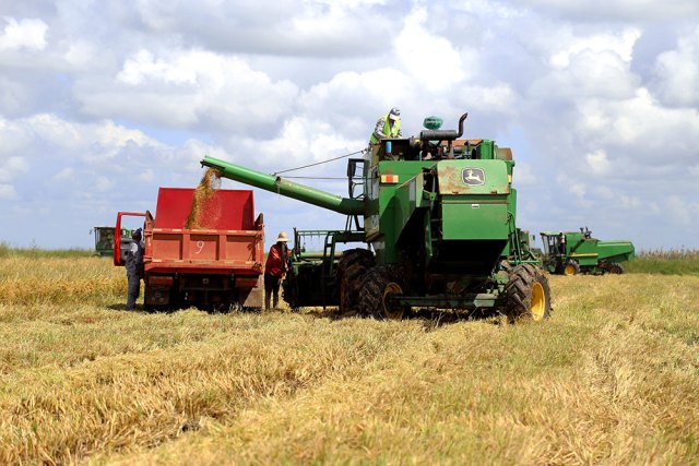 agriculture.macauhub.15.5.2018-1