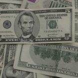 dollar.large