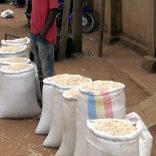 maize.milange.op