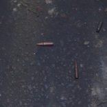 Police-Shot