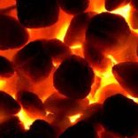 Thermal_Coal_Coking_Coal
