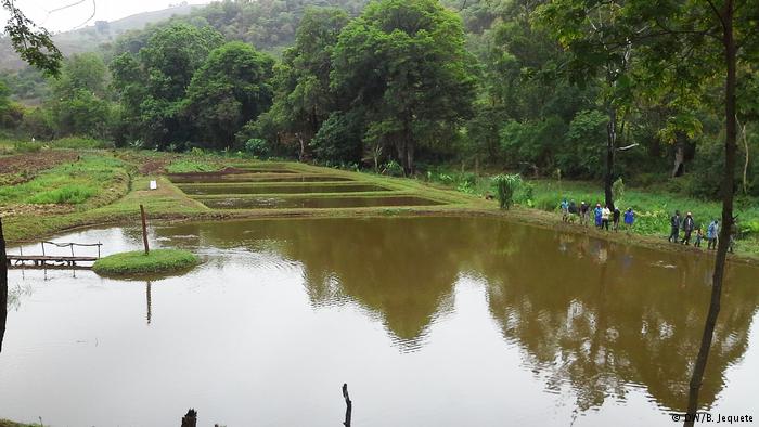 Aquaculture.dw_