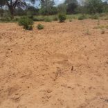 Drought.file_.dw_