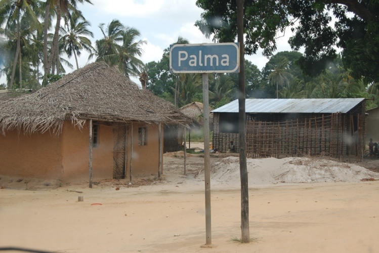 Palmapalma